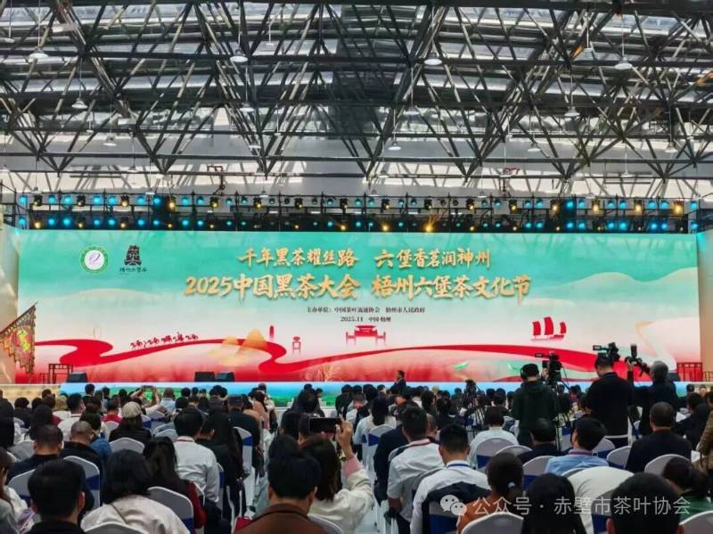 喜訊 ▏趙李橋茶廠“川”字牌青磚茶獲評(píng)“2025中國(guó)黑茶企業(yè)代表品牌”！